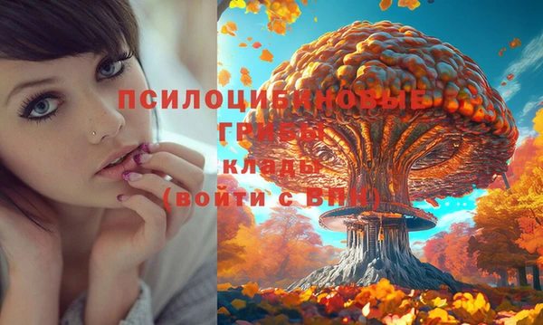 винт Протвино