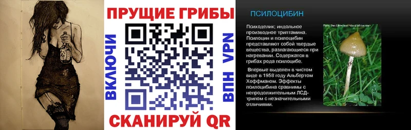 Псилоцибиновые грибы ЛСД  где продают наркотики  Сковородино 